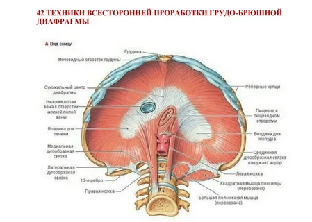 1644217963407-png.49268