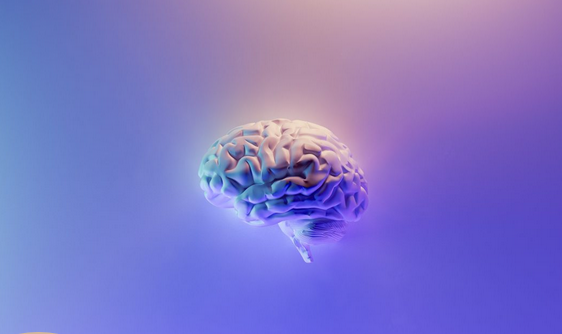 458-png.59711
