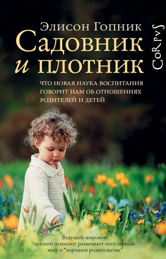 img-png.17818